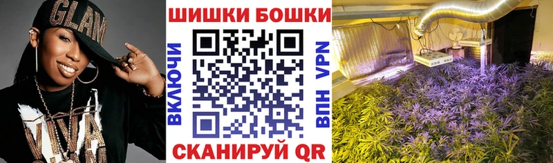 НБОМе Пестово
