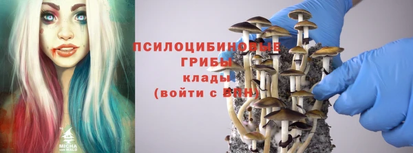 крисы Белокуриха