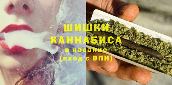 крисы Белокуриха