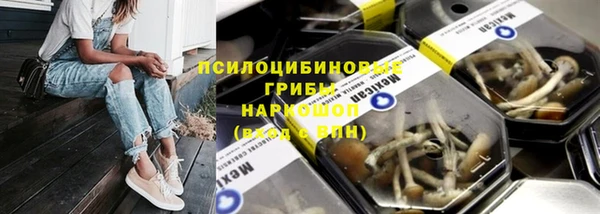 дживик Белоозёрский