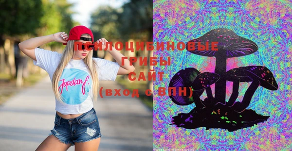 прущий лед Богданович