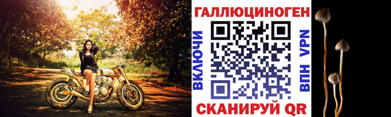 закладка  Пестово  Галлюциногенные грибы мухоморы 